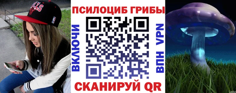 Галлюциногенные грибы мицелий  OMG tor  Чегем 