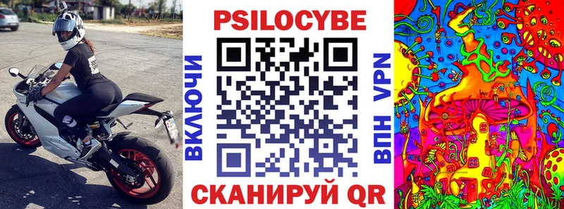 Псилоцибиновые грибы прущие грибы Чегем